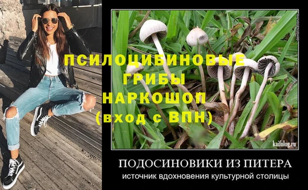 mdma Снежногорск