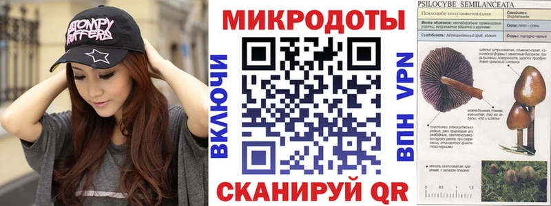 Купить где  Жуковка  Псилоцибиновые грибы ЛСД 